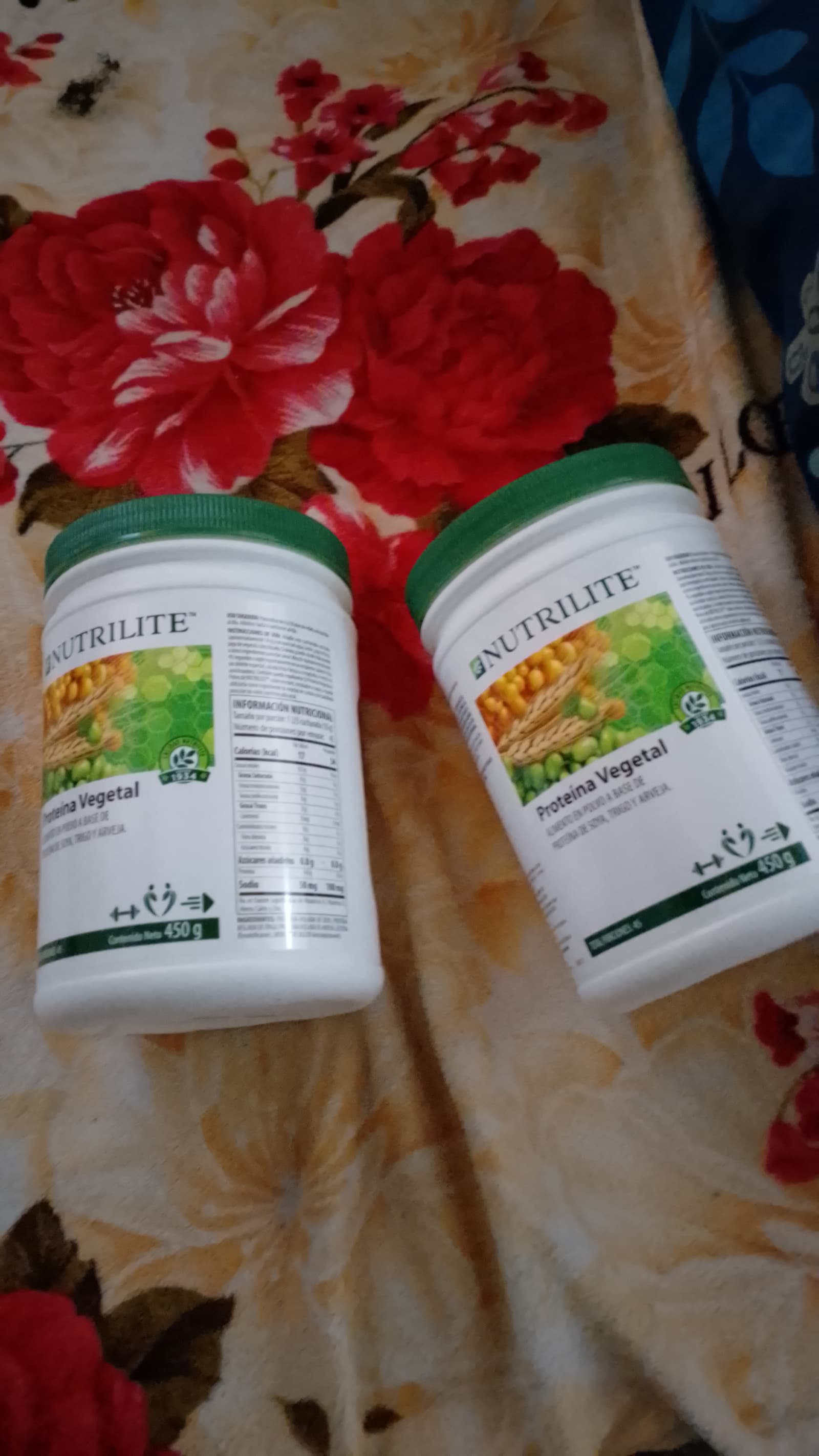 Proteina Vegetale en Polvo 3