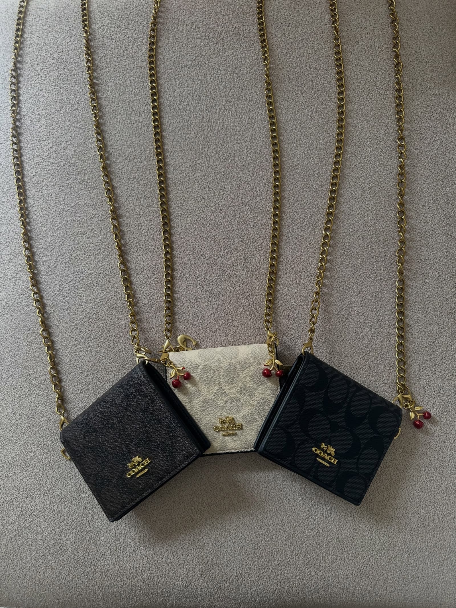 Bolso Coach